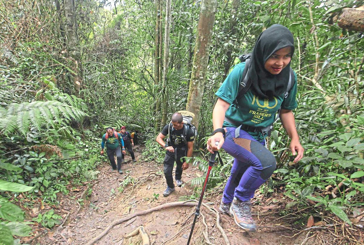 The highly-disciplined Virgo has great endurance, which makes them suited for activities such as long hikes.